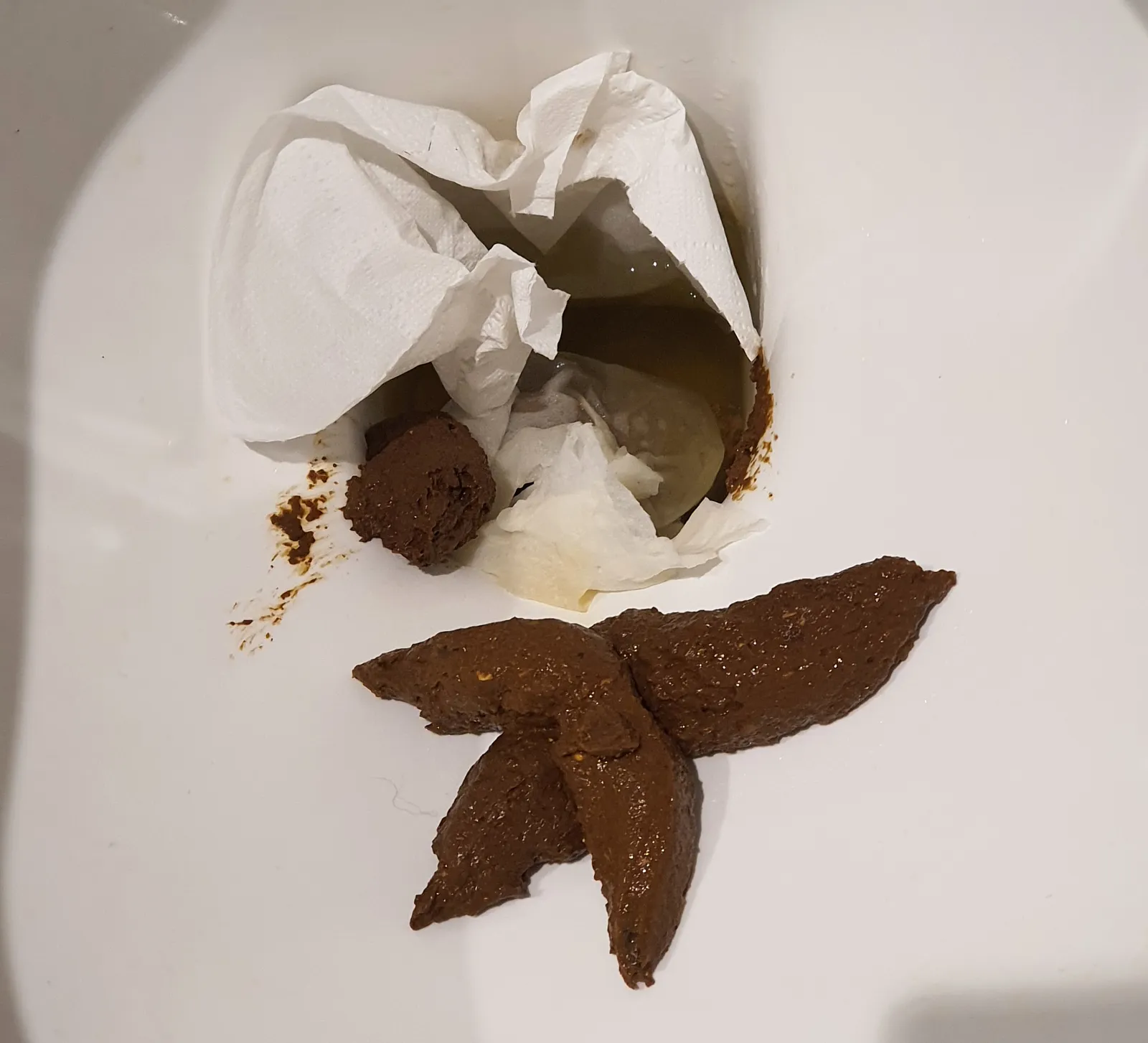 Evening droppings