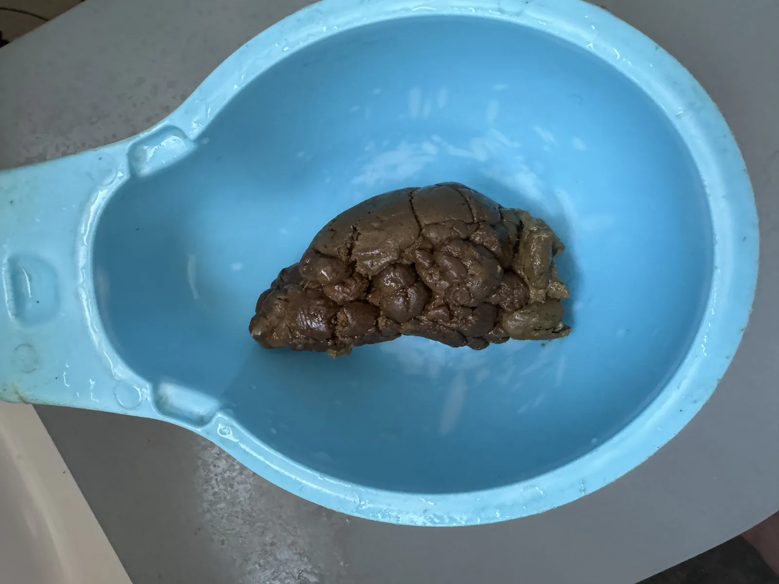 Poop big