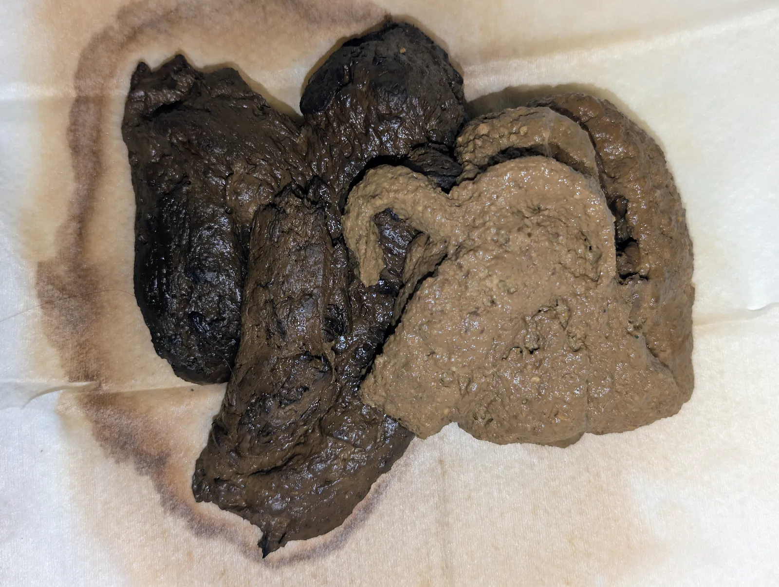 Mix of poops 4