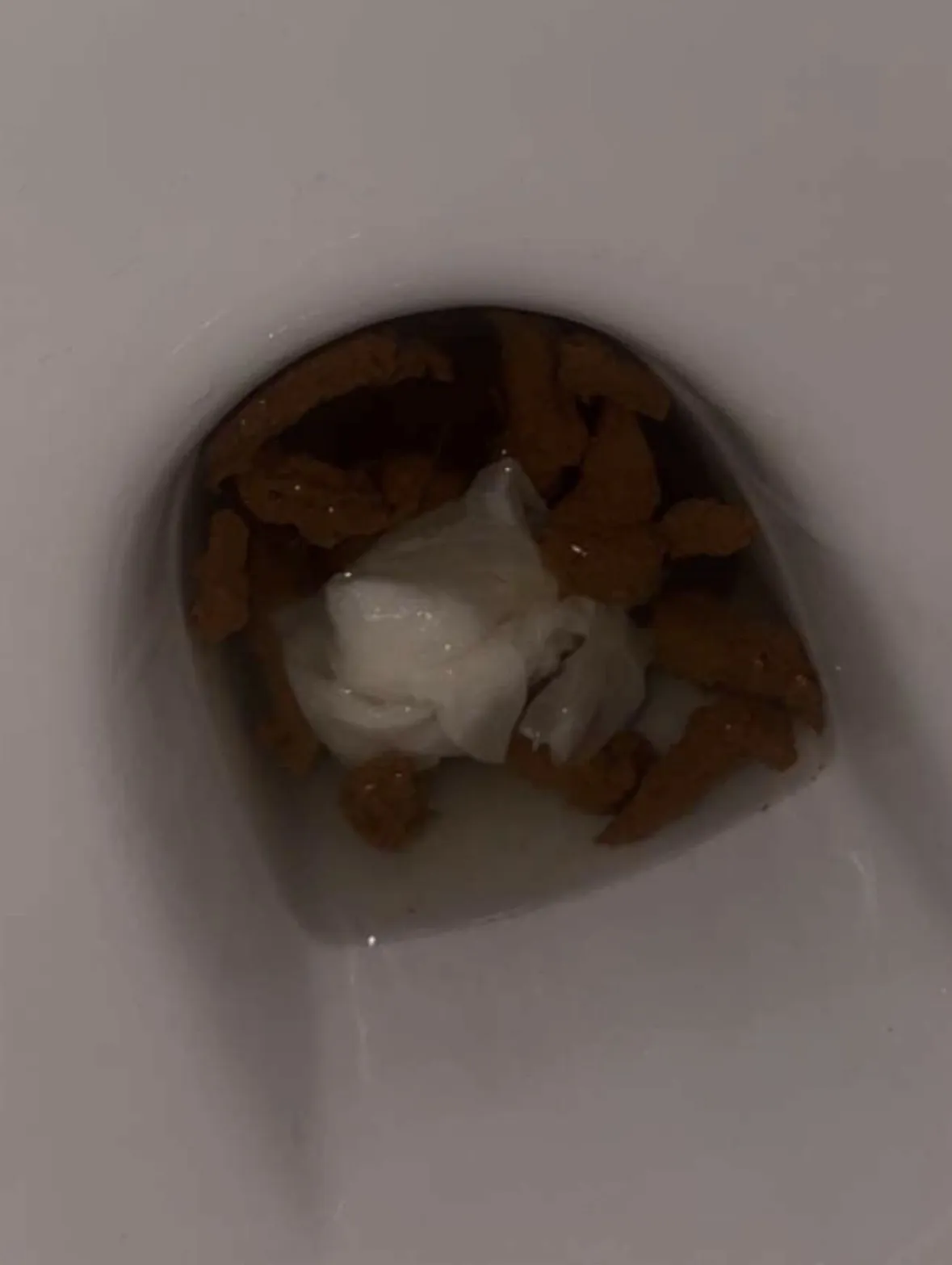 Many poops