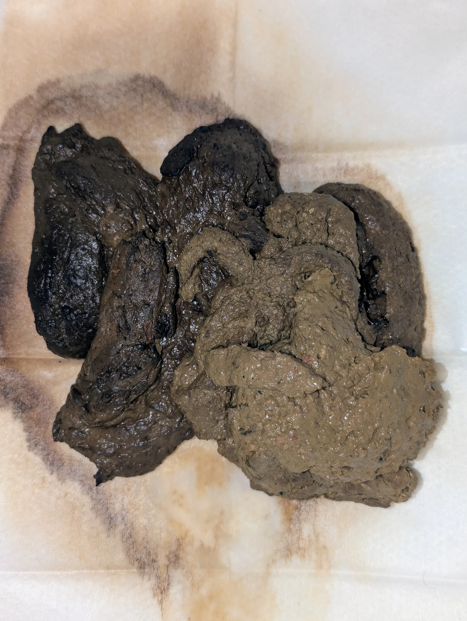 Mix of poops 5