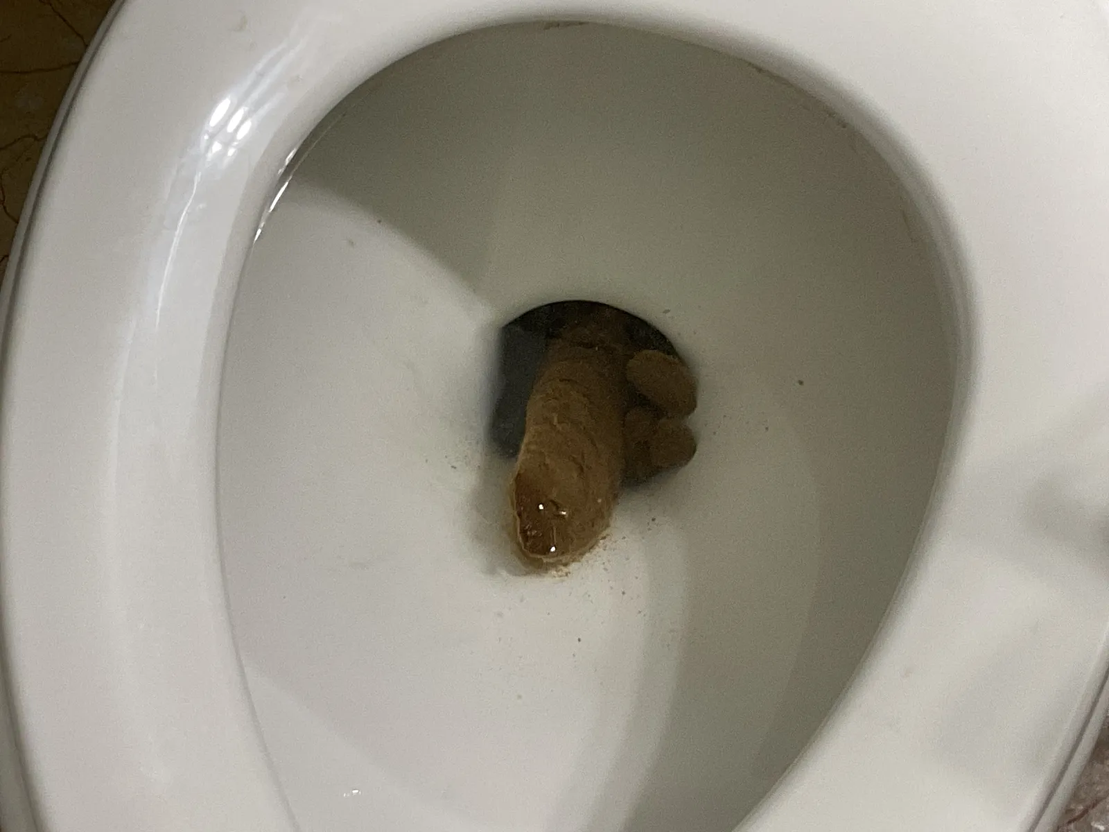 The cobra emerges