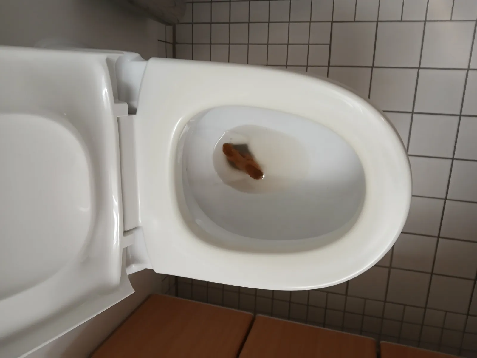Long poo