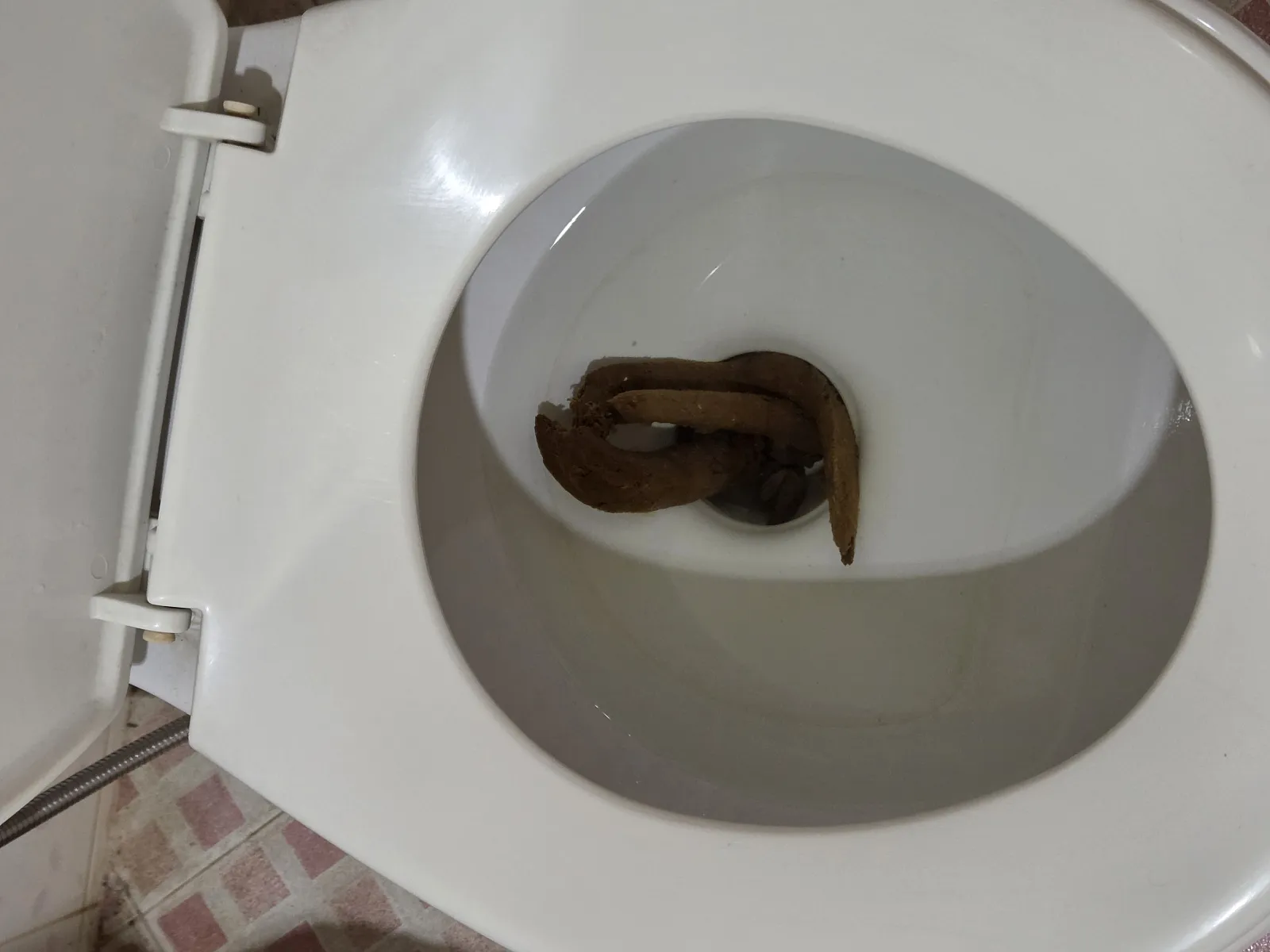 The Snake Poo