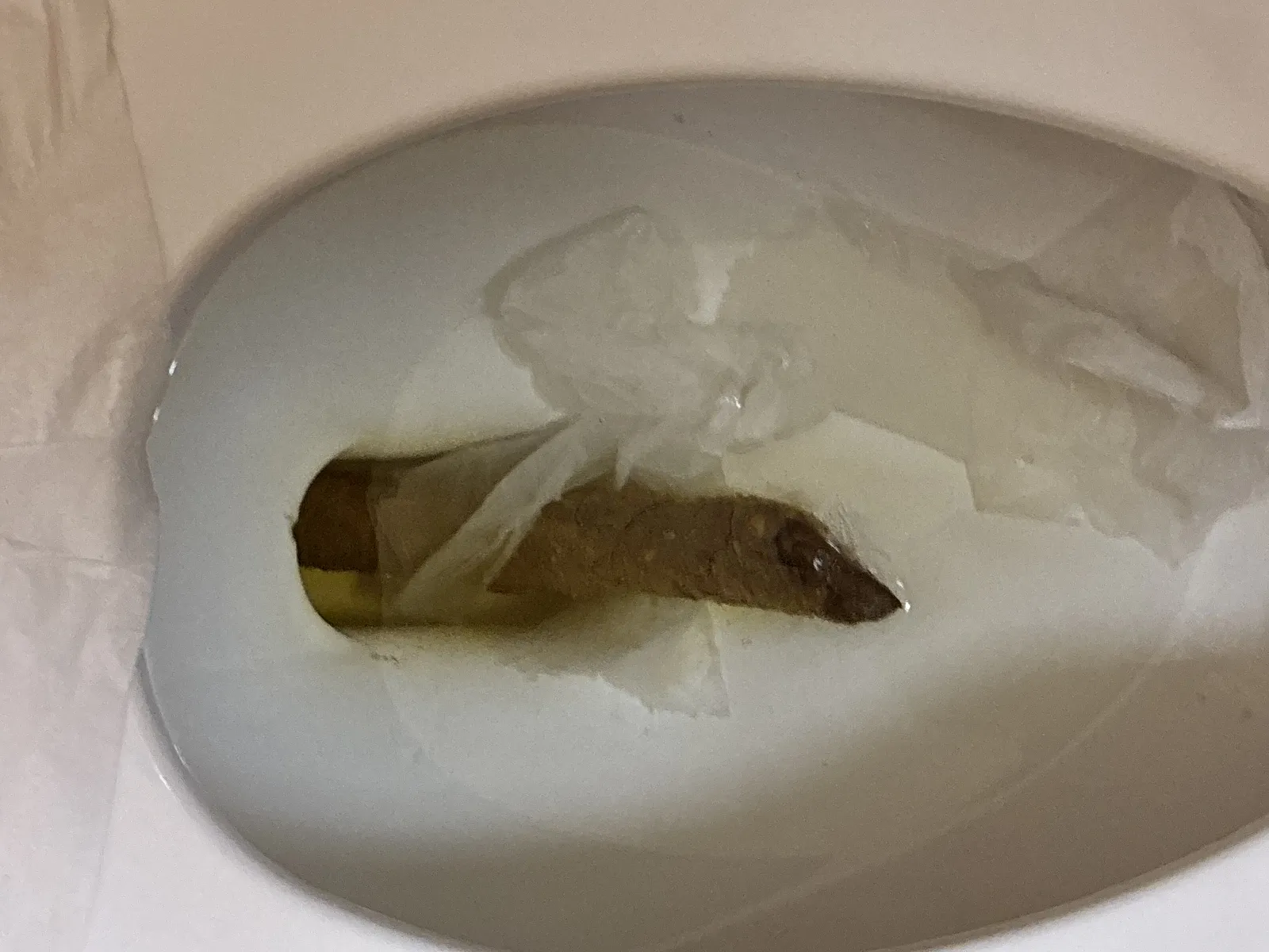 Log poo