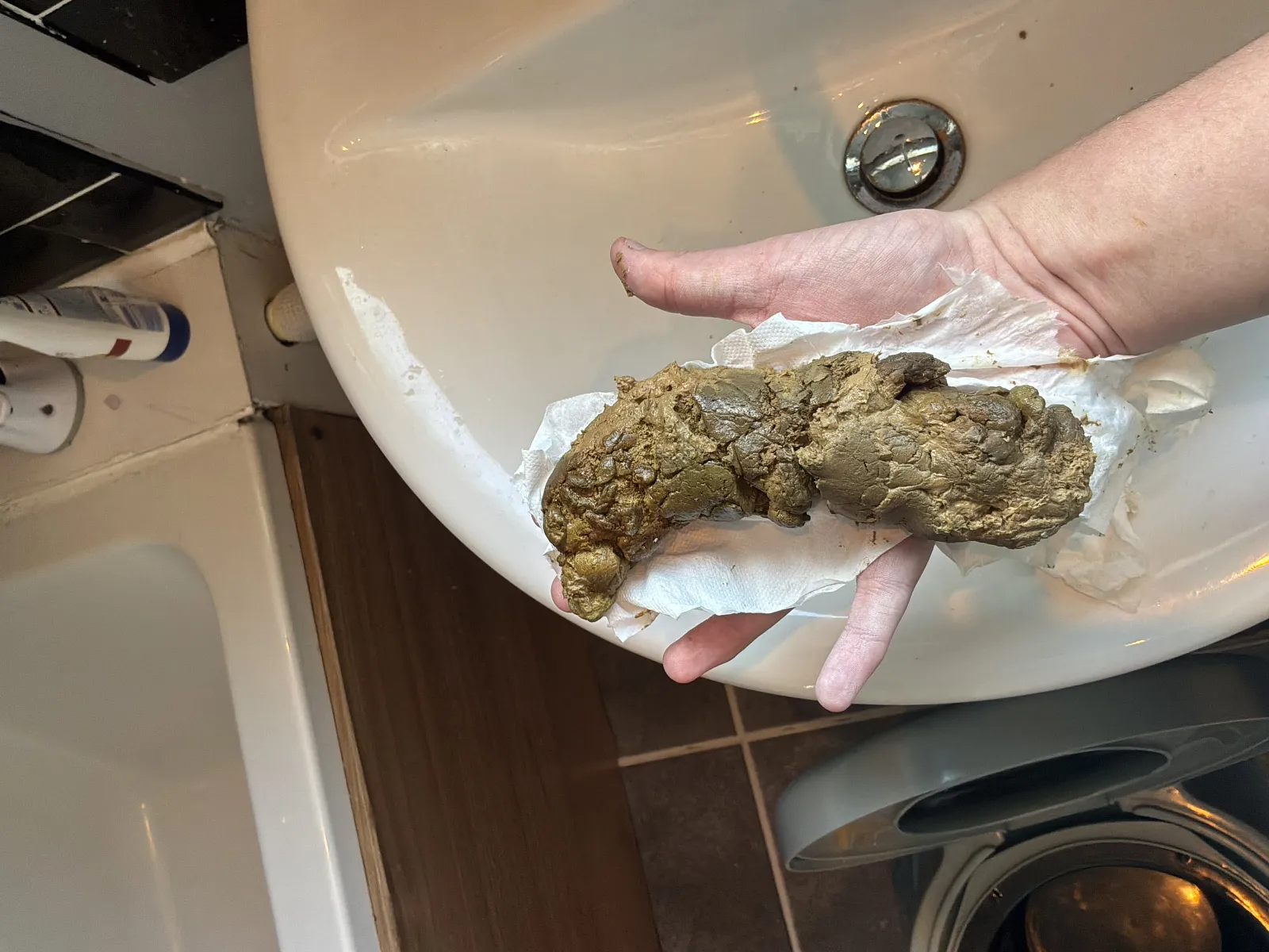 Poop big