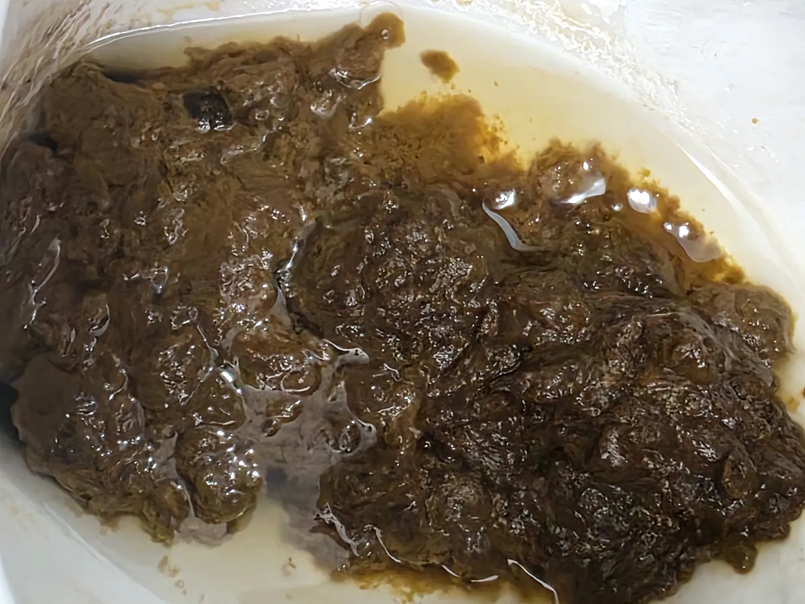 HOT BUTT FUDGE