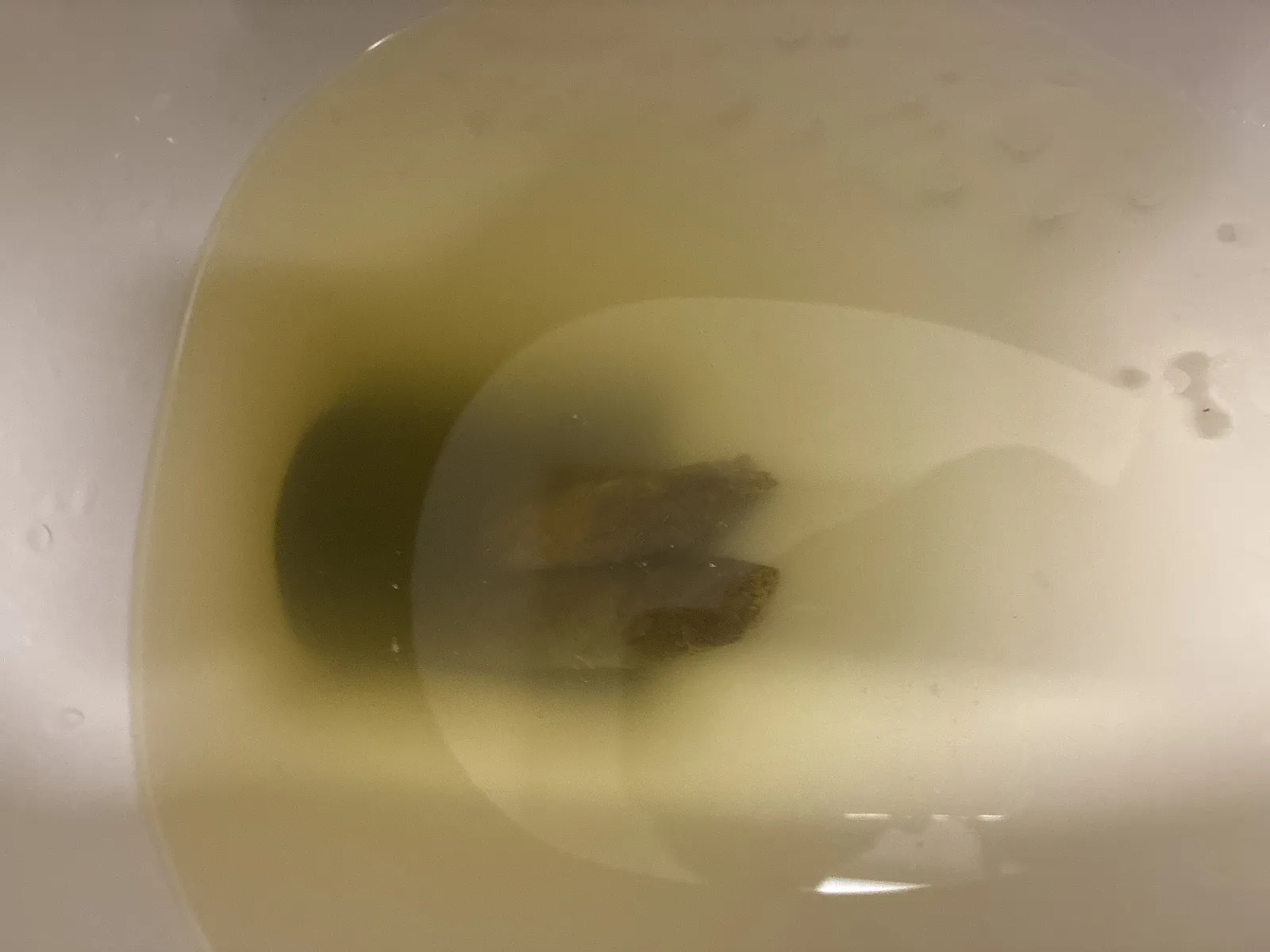Poo in piss