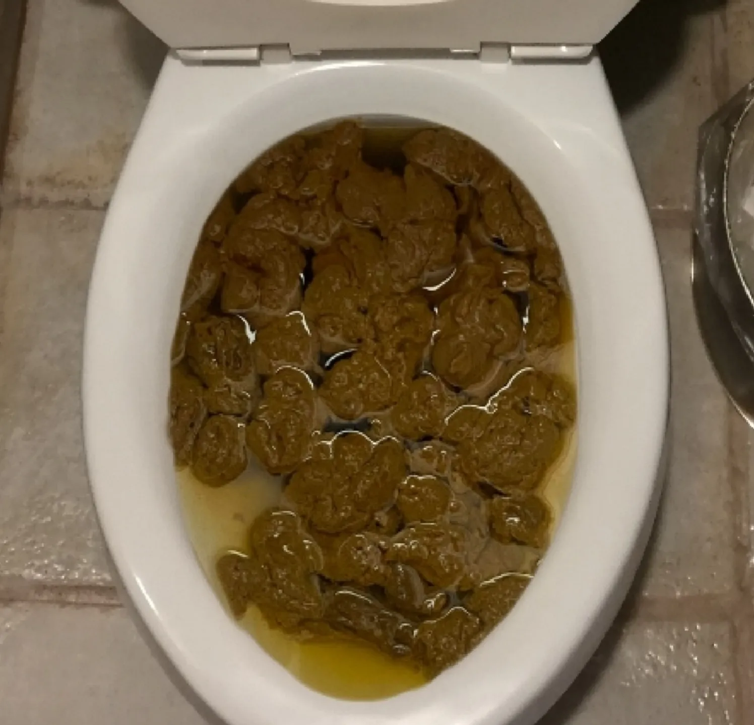 Once again, my girlfriend clogged the toilet, she knows I take care of unclogging it.