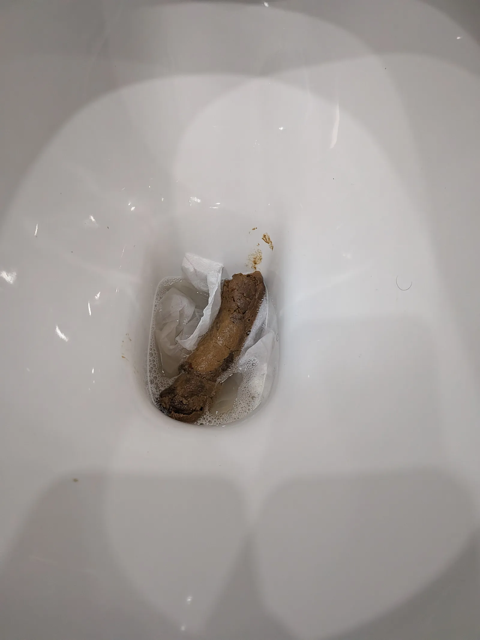 1 Log
