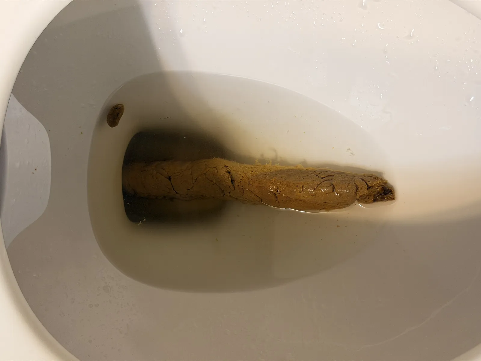 Footer