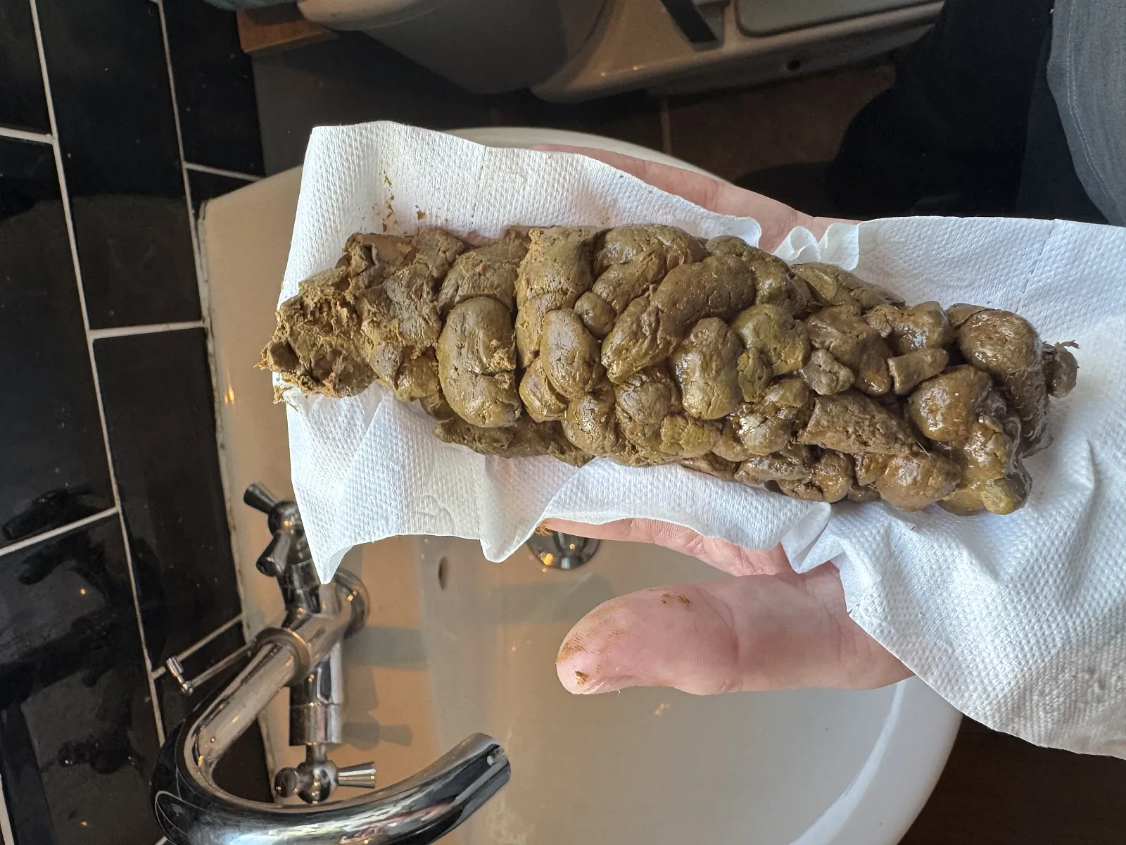 Poop big