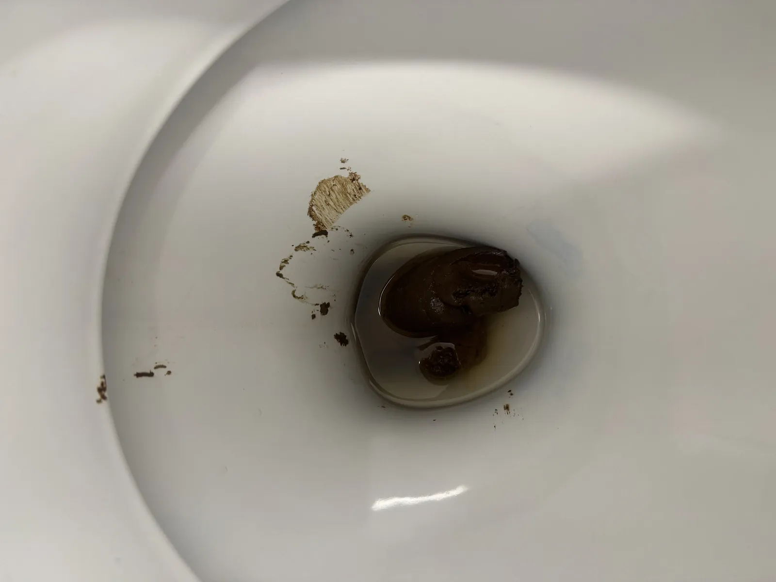 Moderately large poo