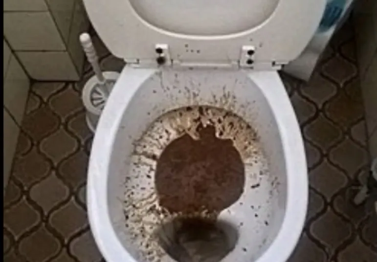 La mierda