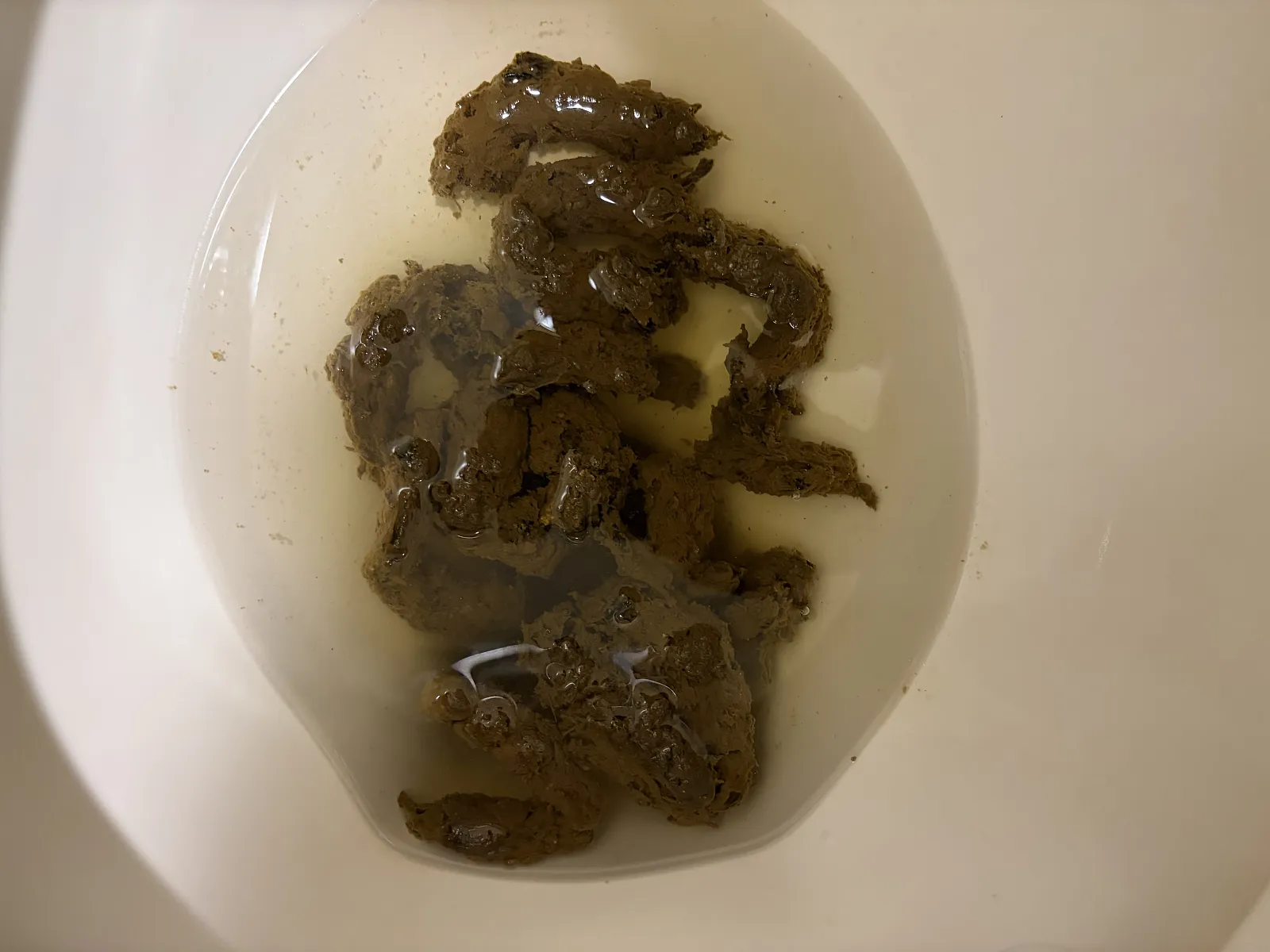 Colon Mold