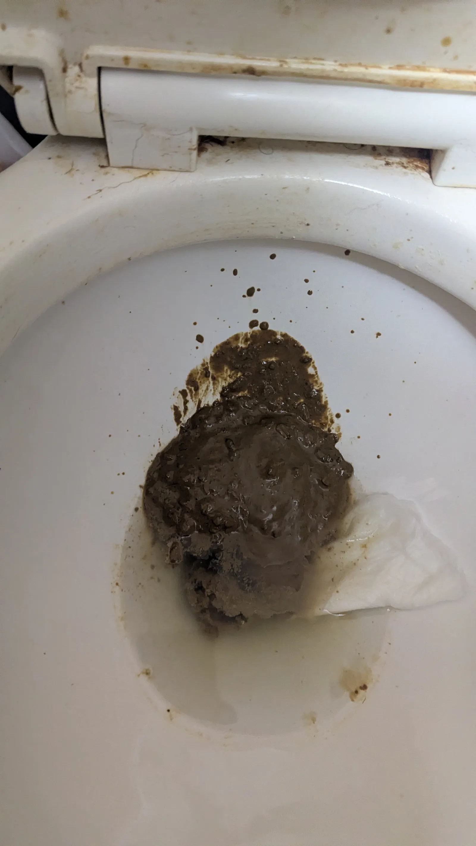Parasite madness