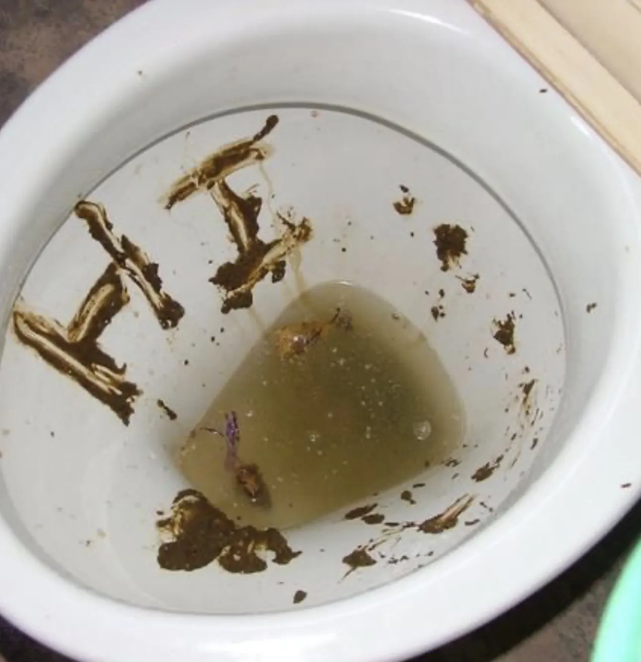 Sonic poo (message hidden)