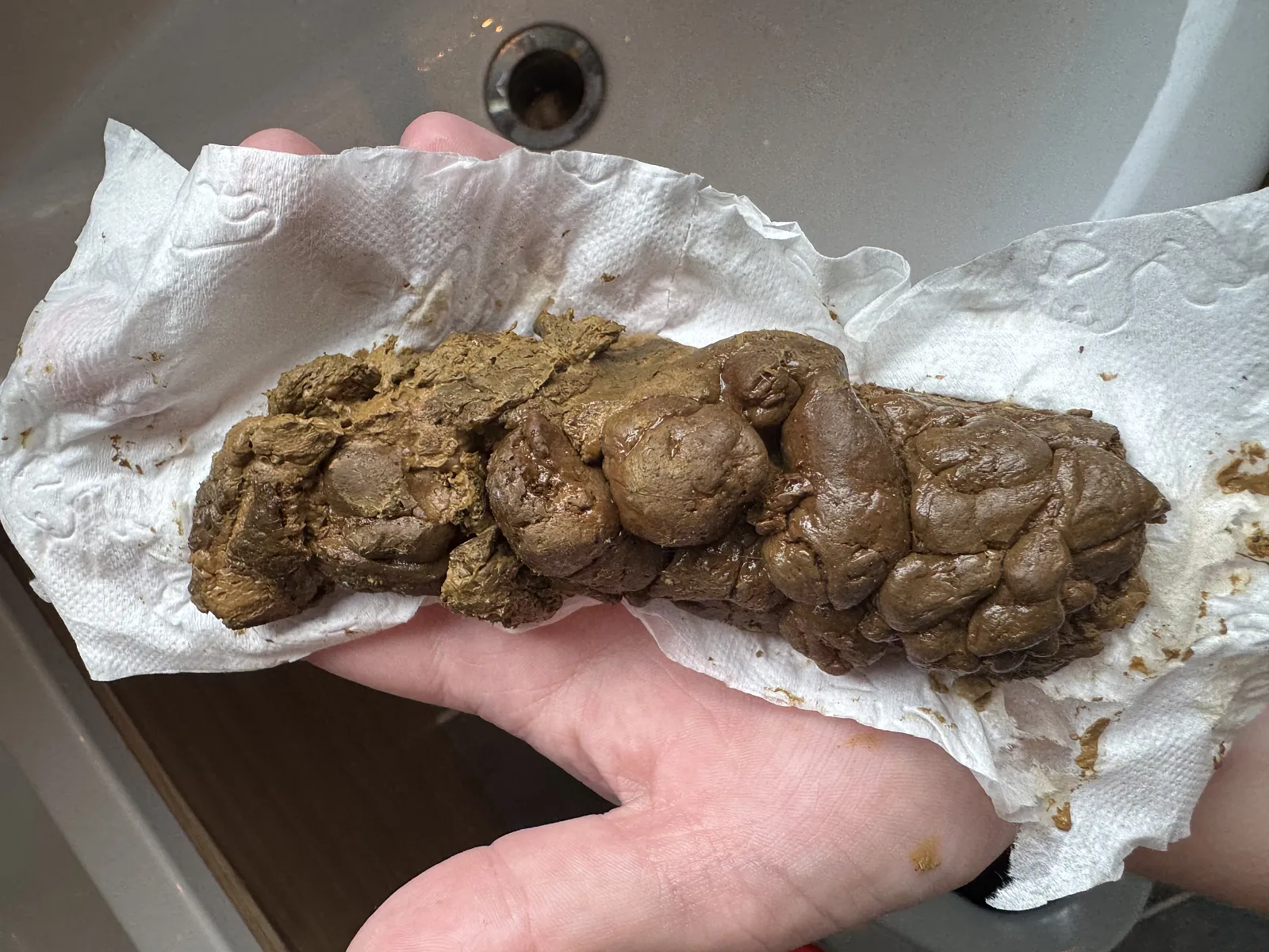 Poop big
