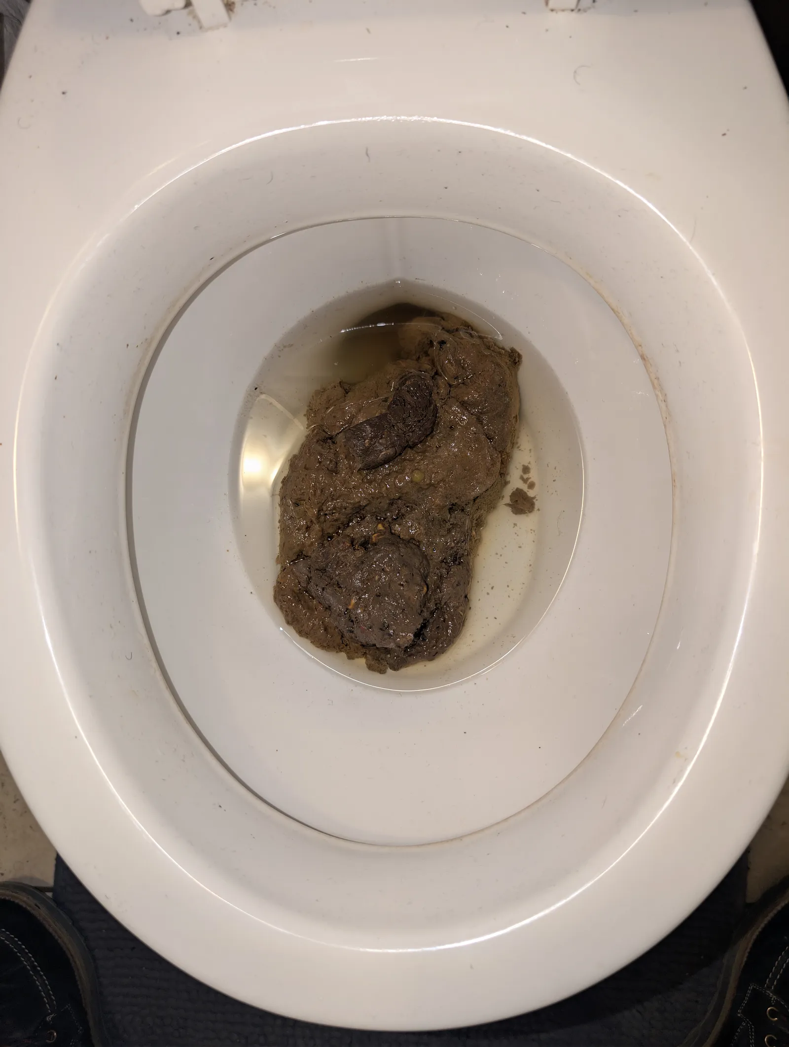 Big pile of Poop