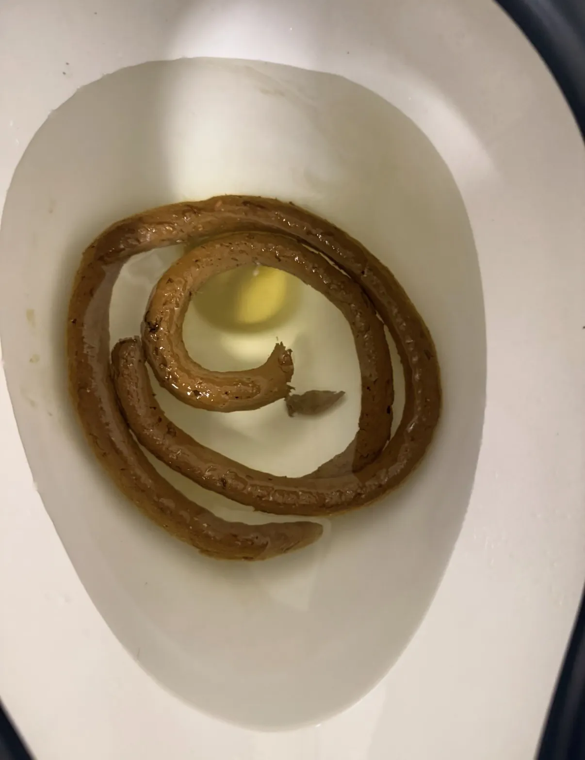 Coiled and ready