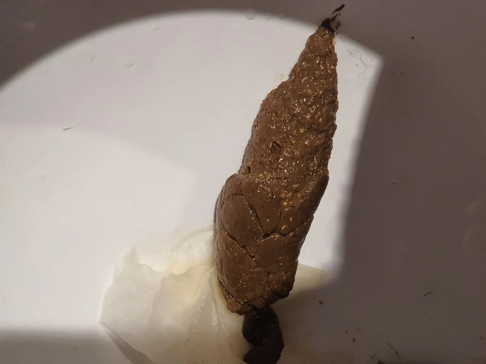 Mealy turd