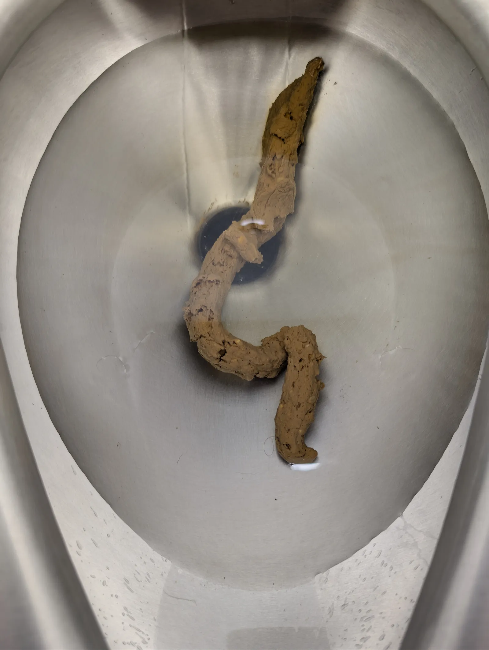 Stinky Snake
