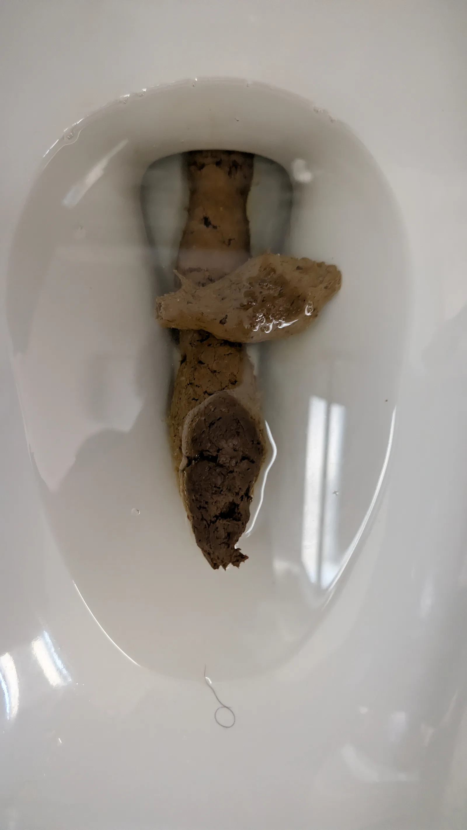 long ass shit