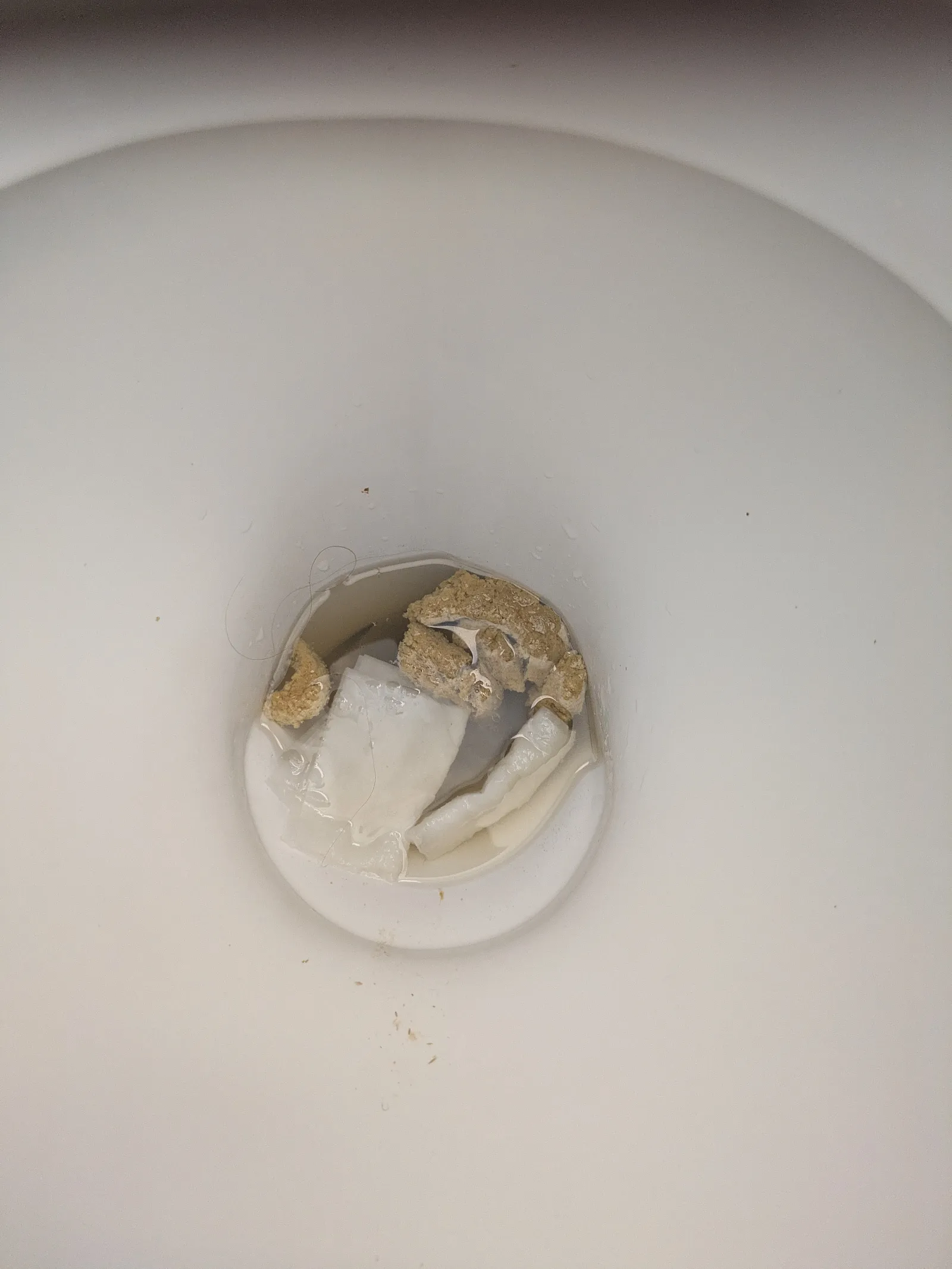 Shits and giggles