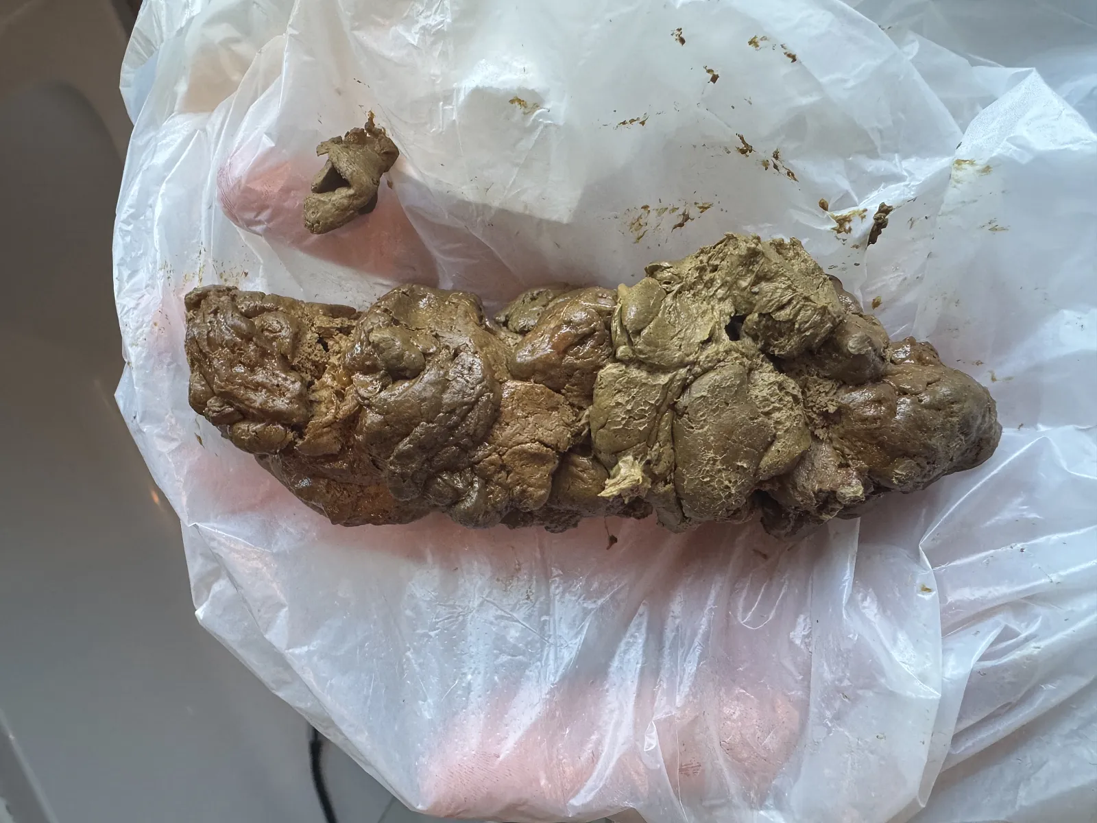 Poop big