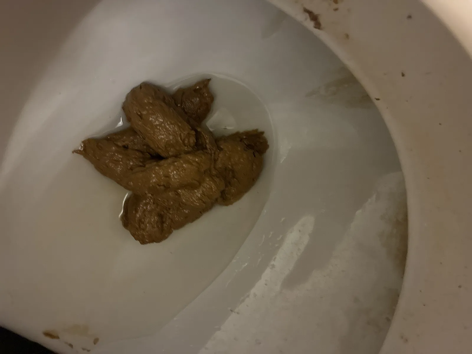 Afternoon poo