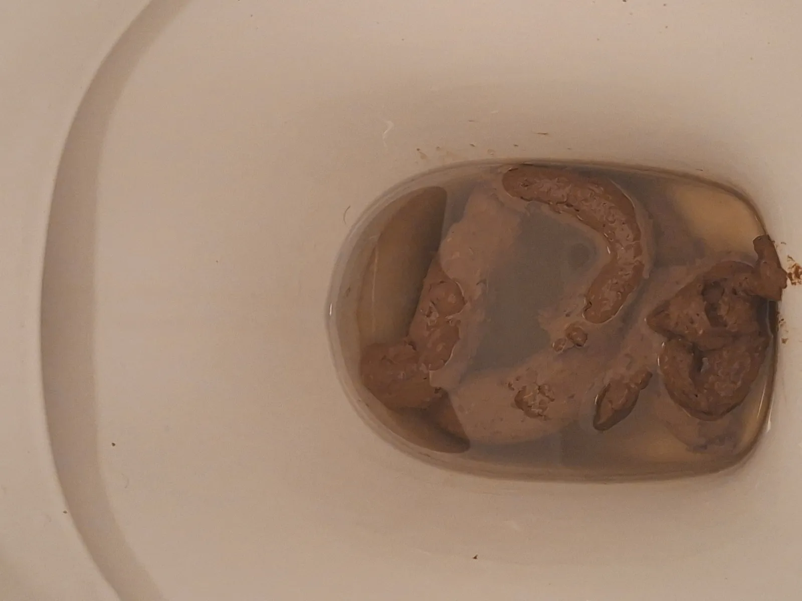 Work dump