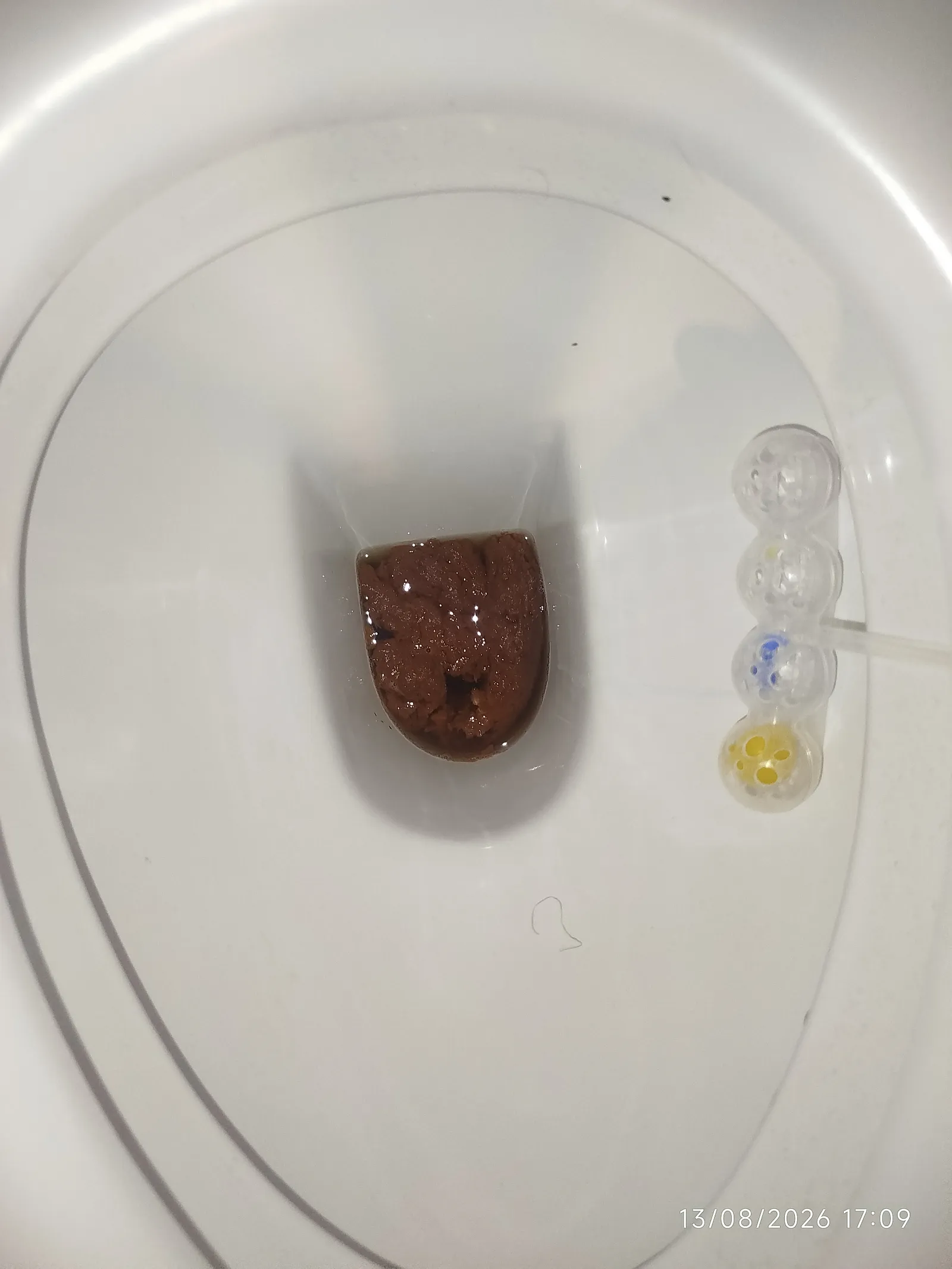 Mera ad intestino