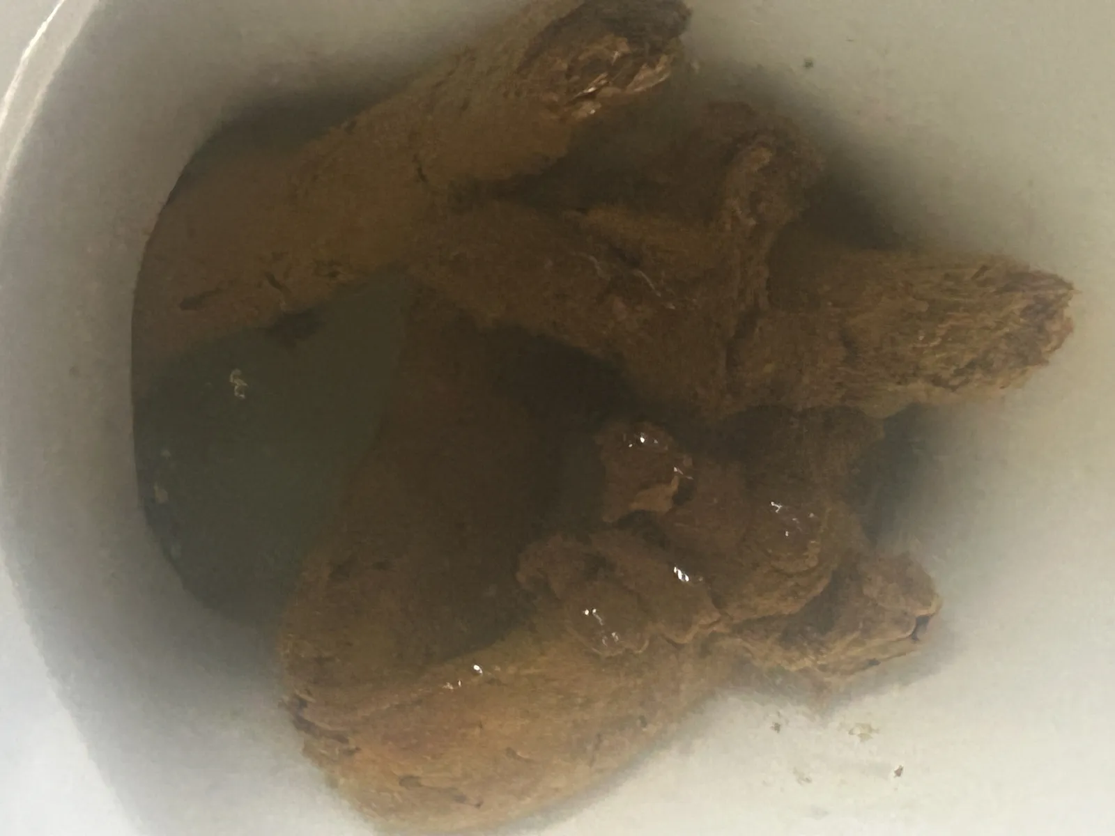 the mythical dry poo