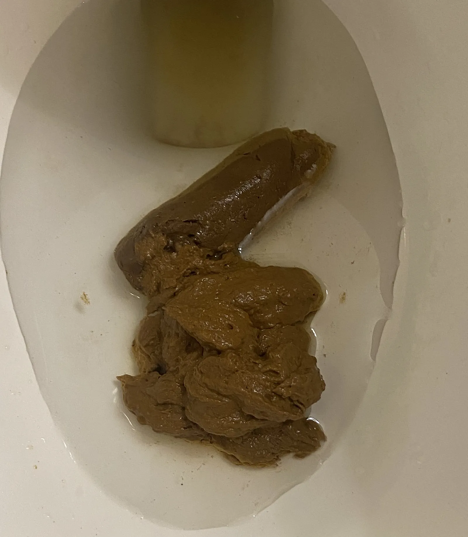 Shit pile