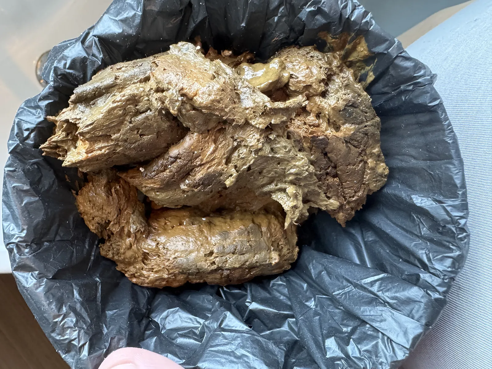 Poop big