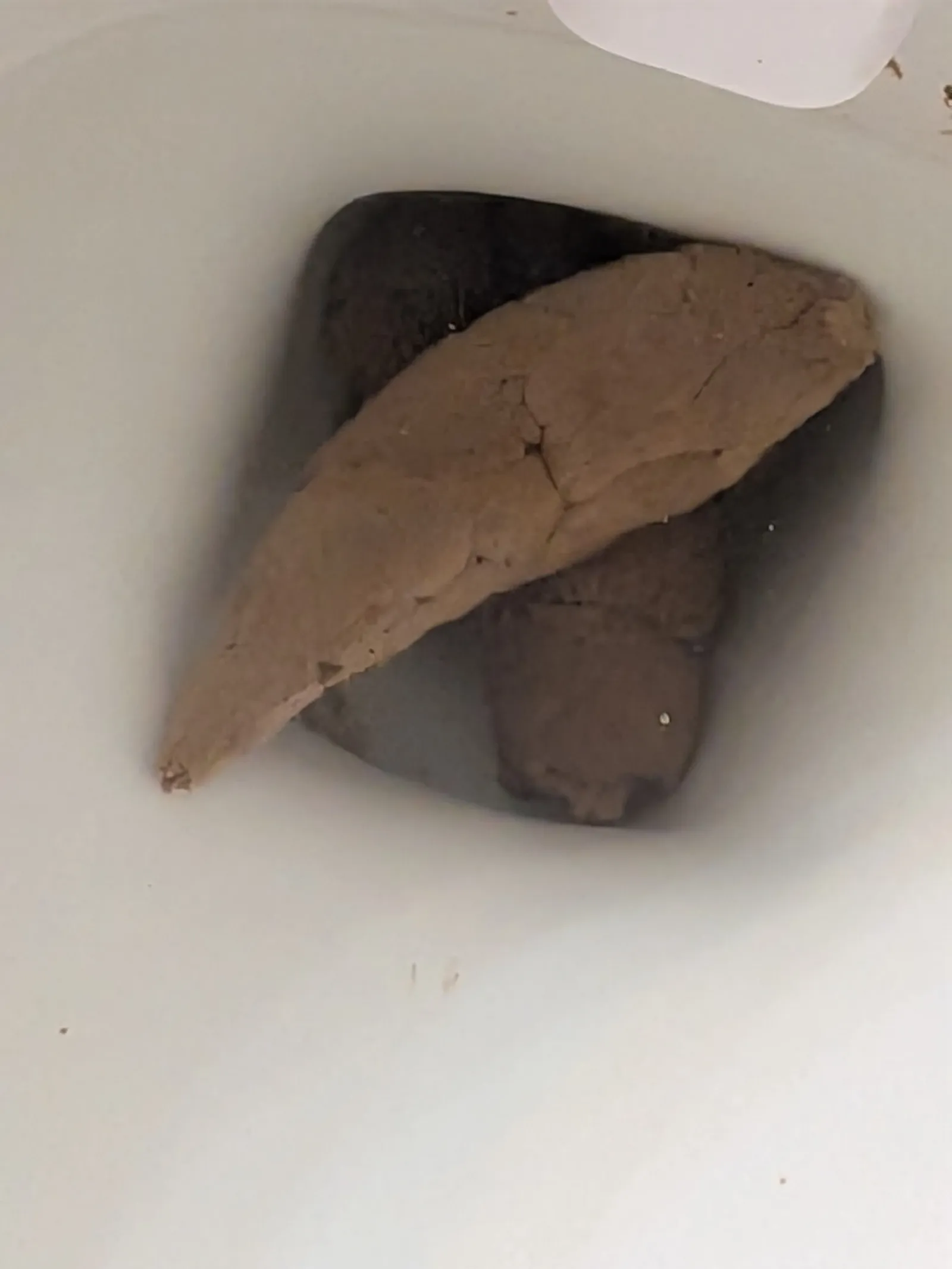 Shit creation