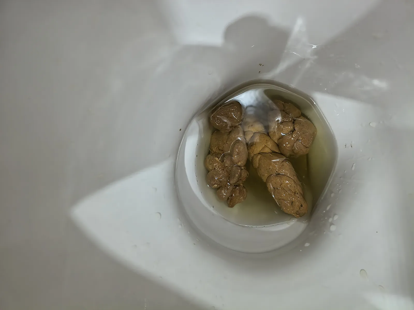 Perfect poop