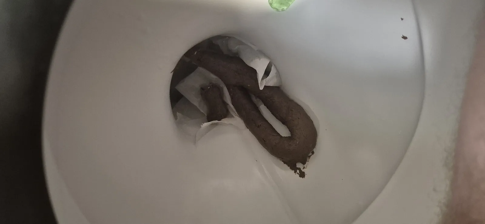 Loop the Poop