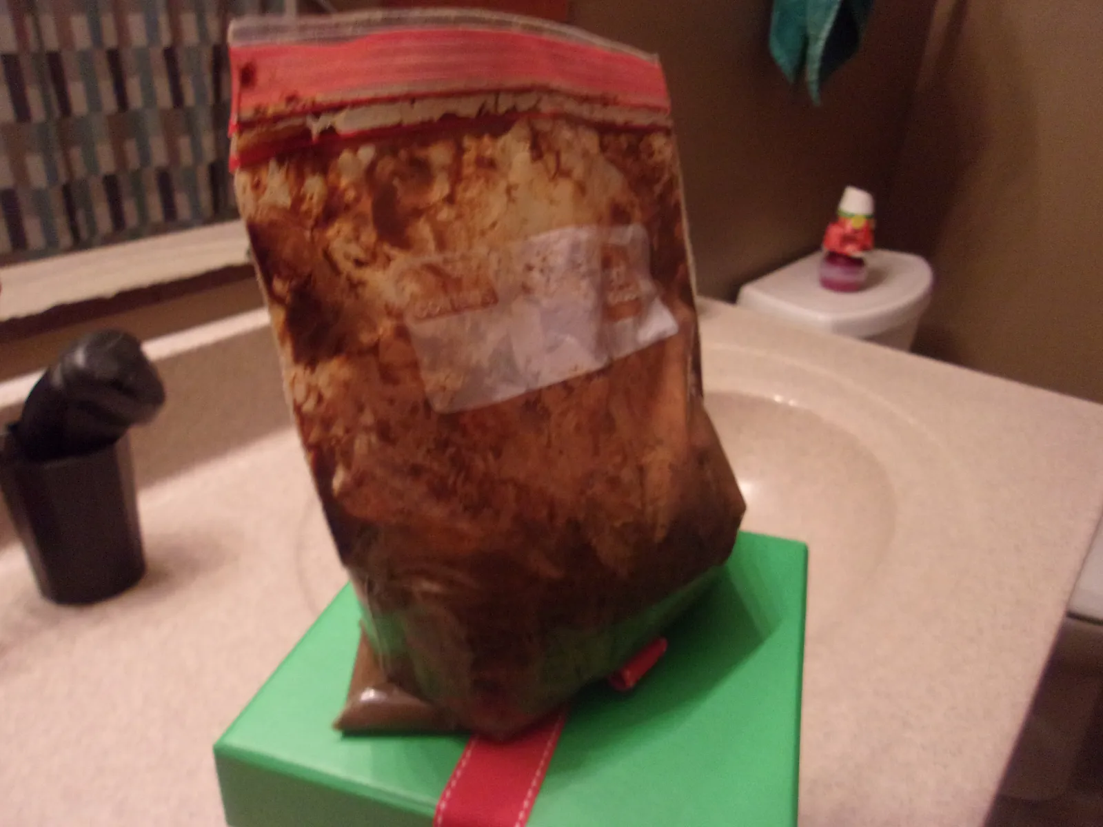 a bag of shit