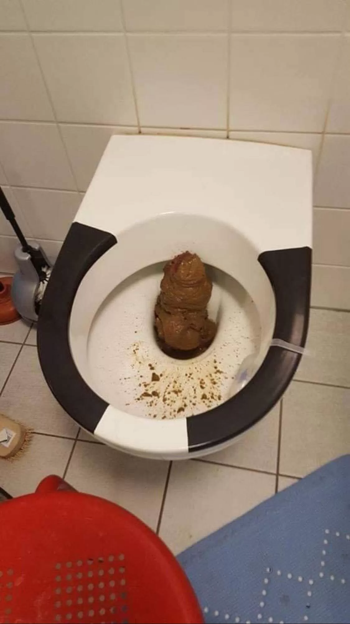 Mega shit