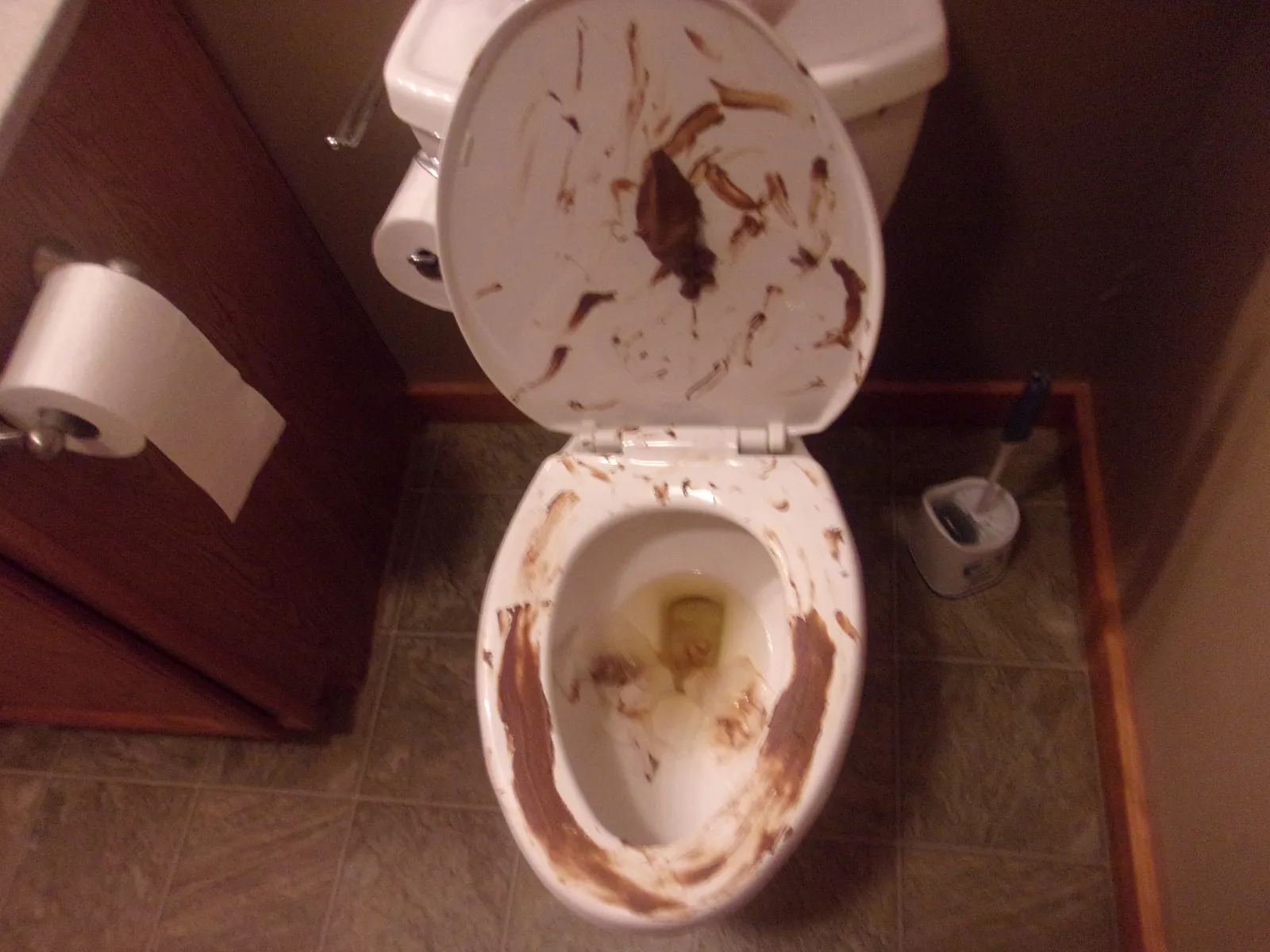 poo smuthered toilet