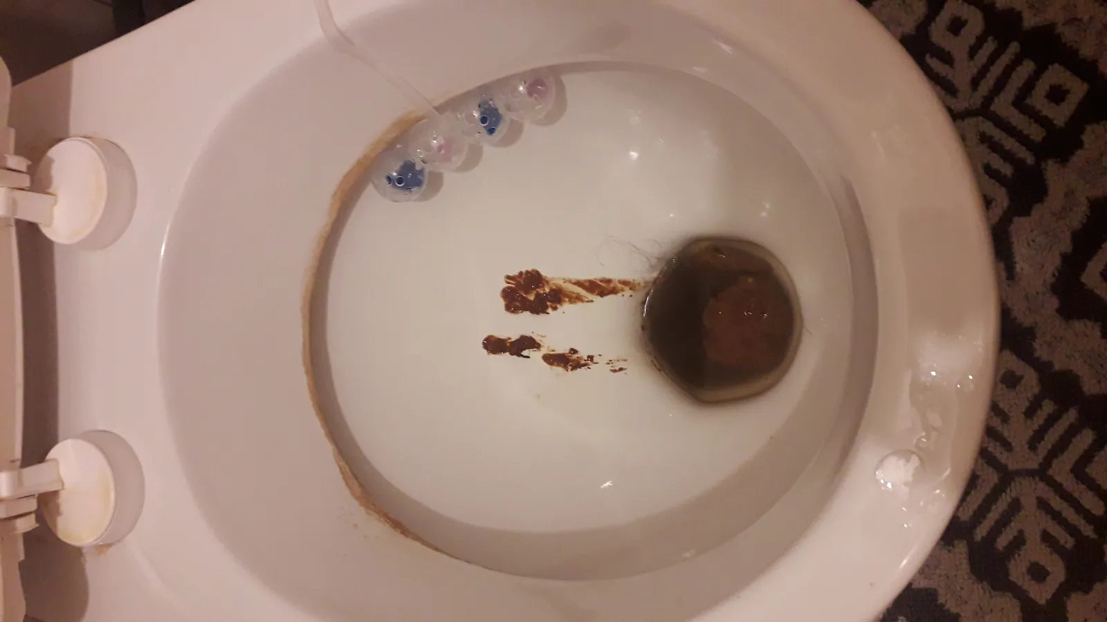 Night poop