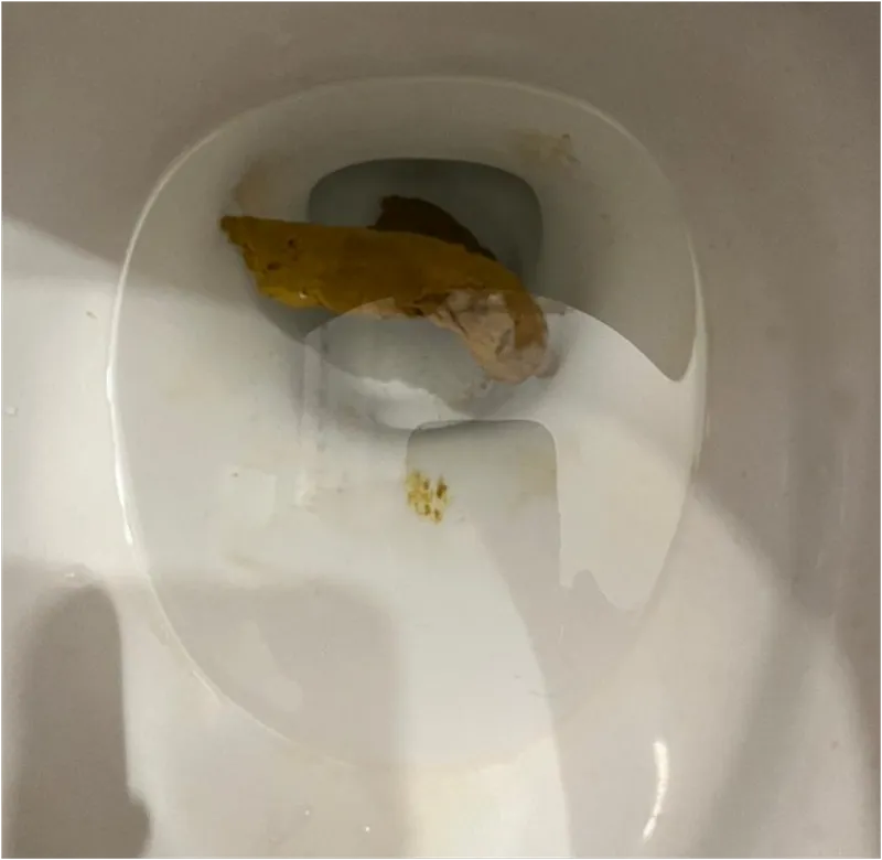 Solid fun