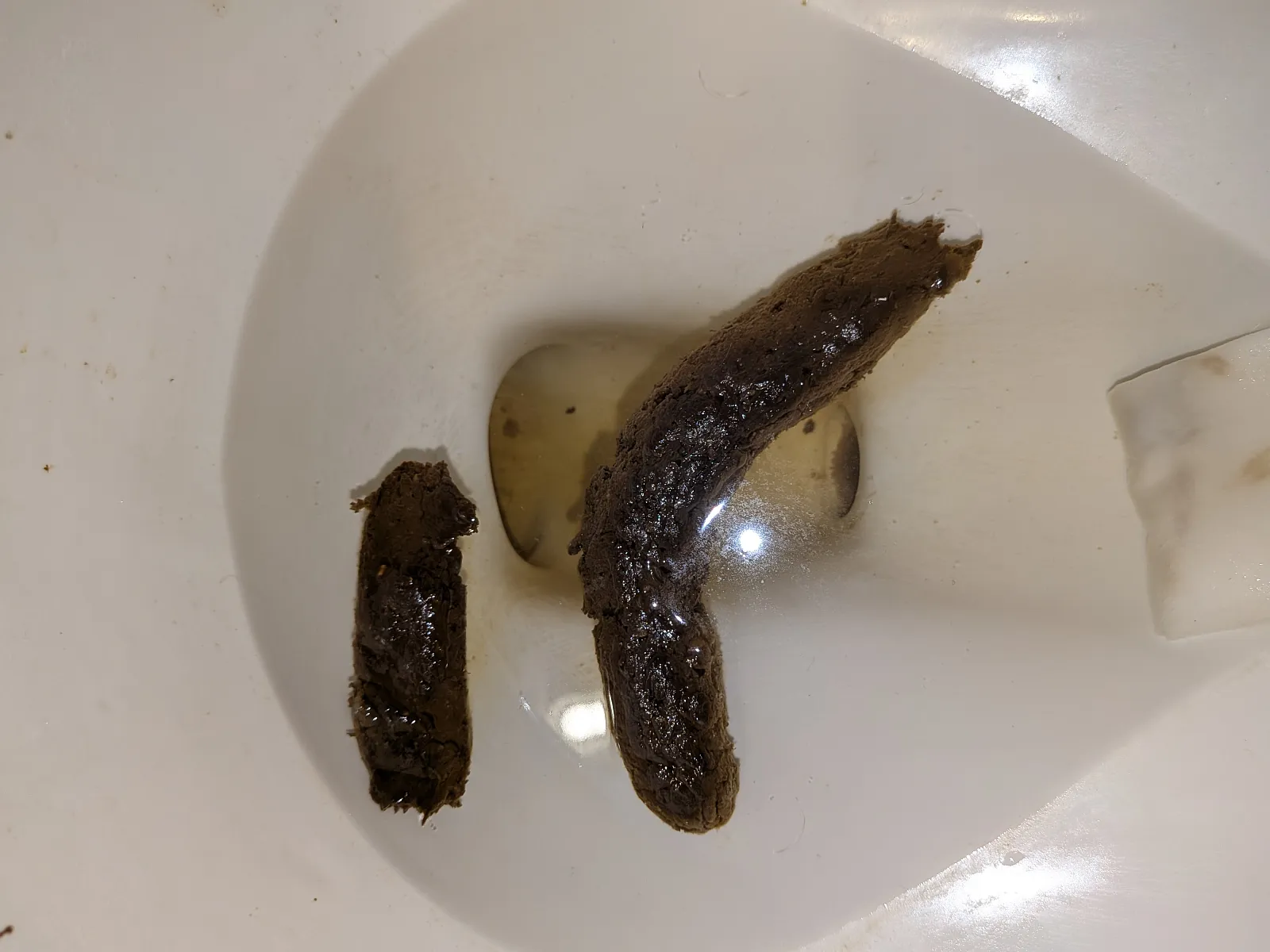 Kinda Dark but took a single push