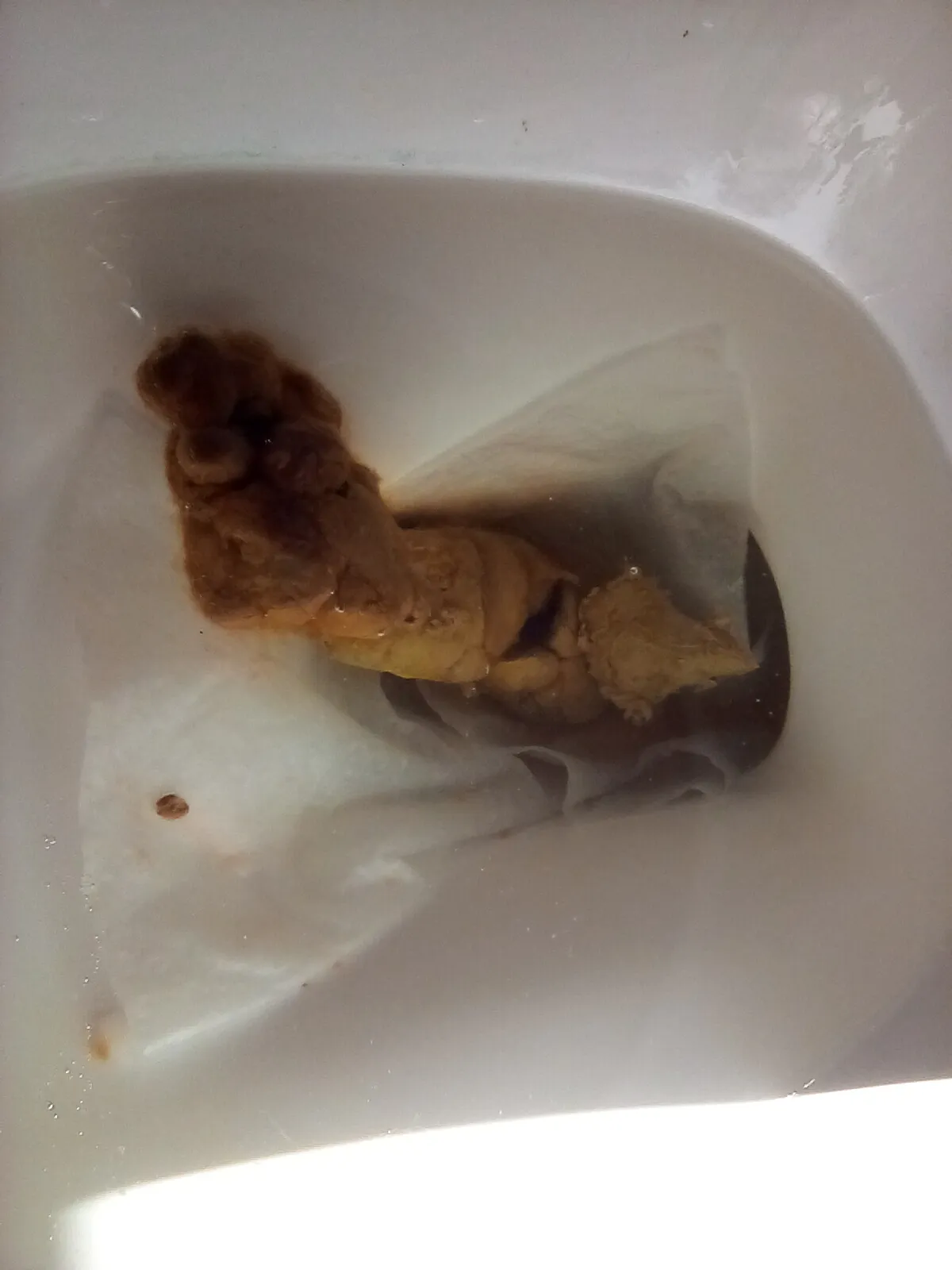 Normal shit