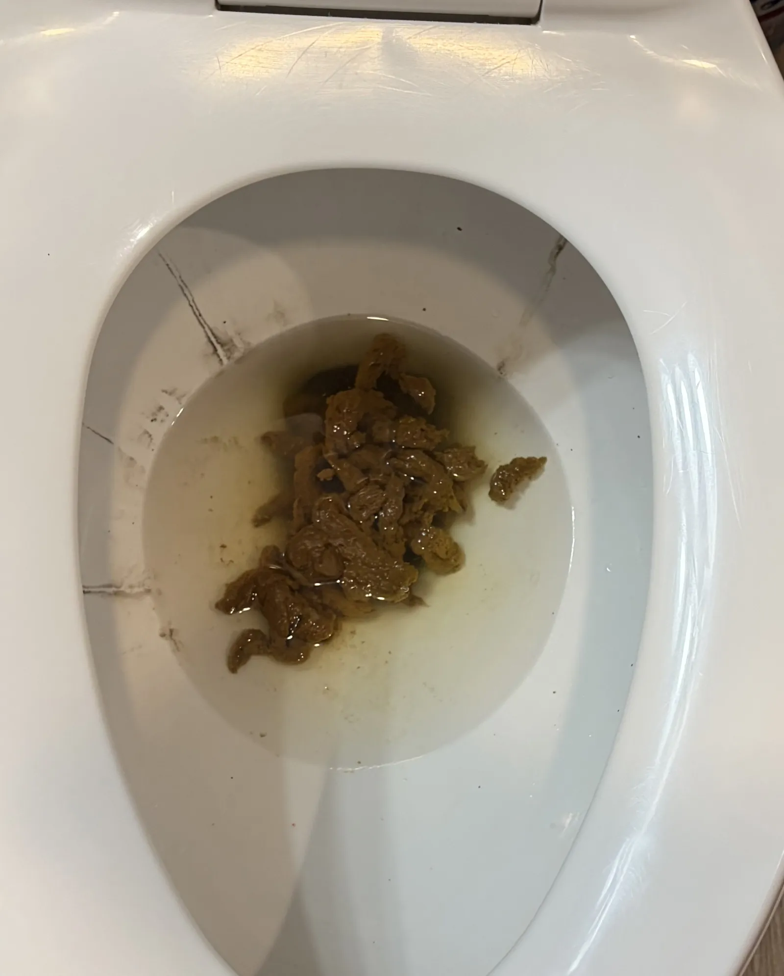 Shitolanch