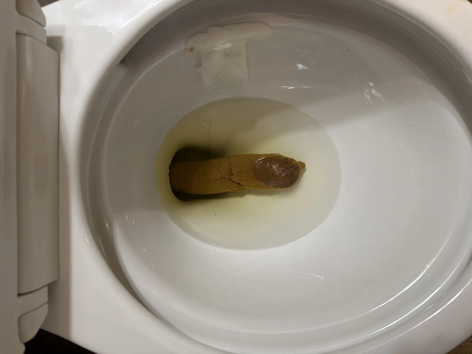 Monster Log