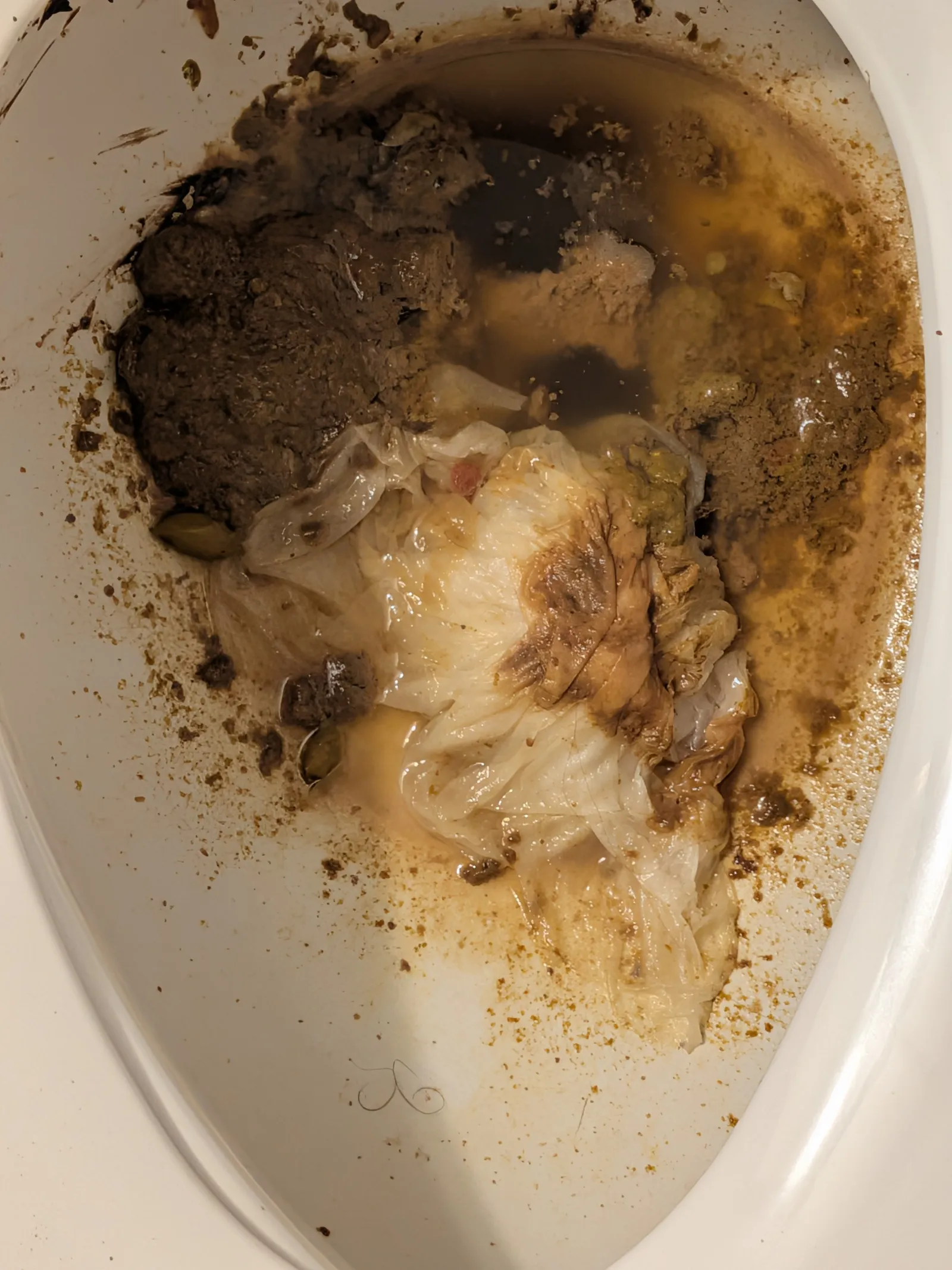 My girlfriend's poop