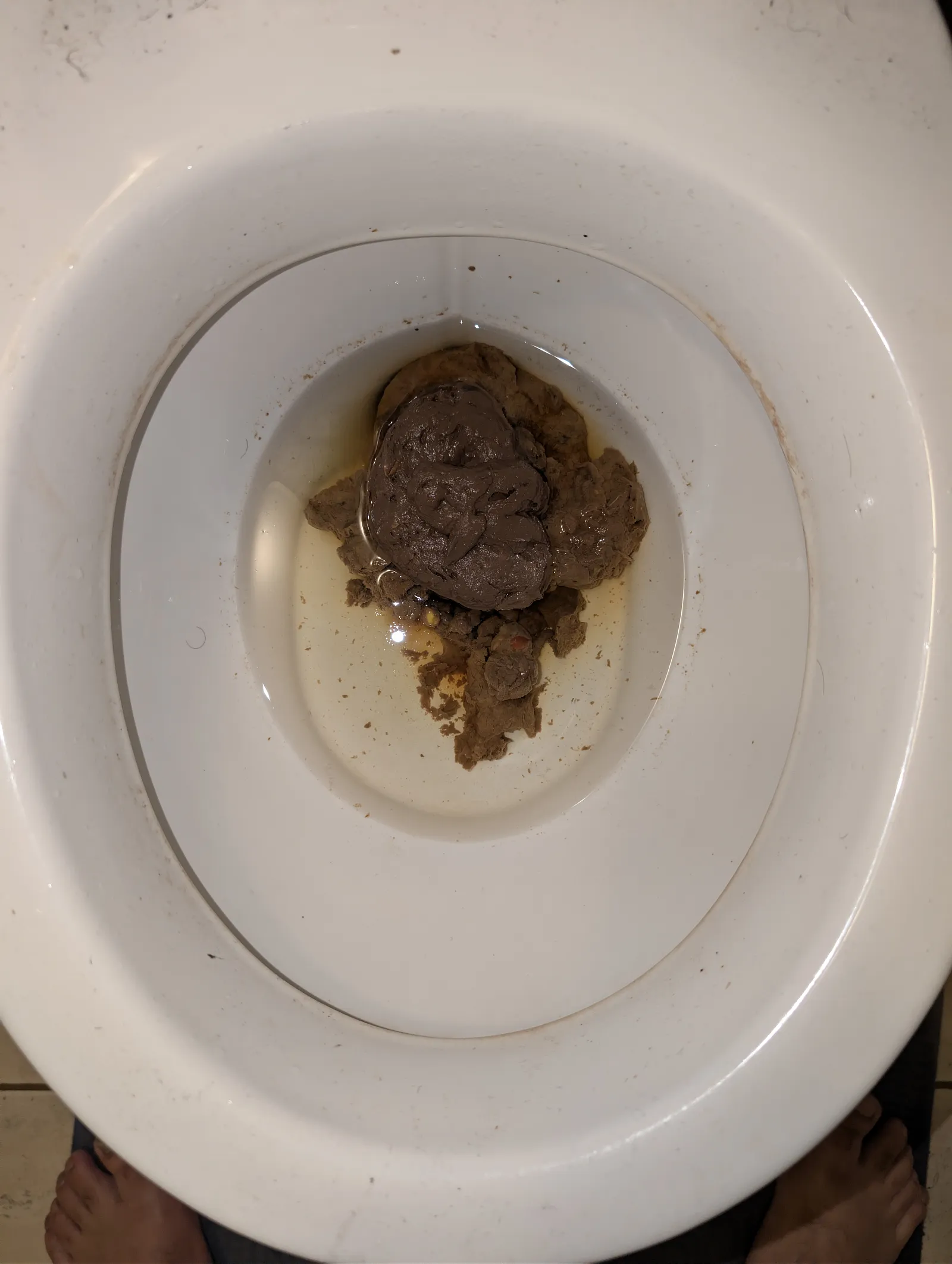 Another big pile of Poop