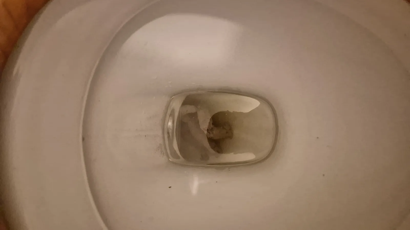 Snakes In A Tub